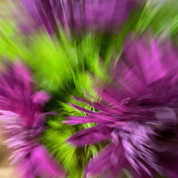 Meet your Posher, Jodine - Picture 1 of 1